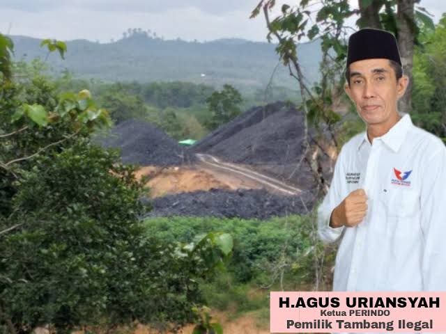 Bakal Calon Wakil Bupati Berau Bermain Tambang Ilegal?